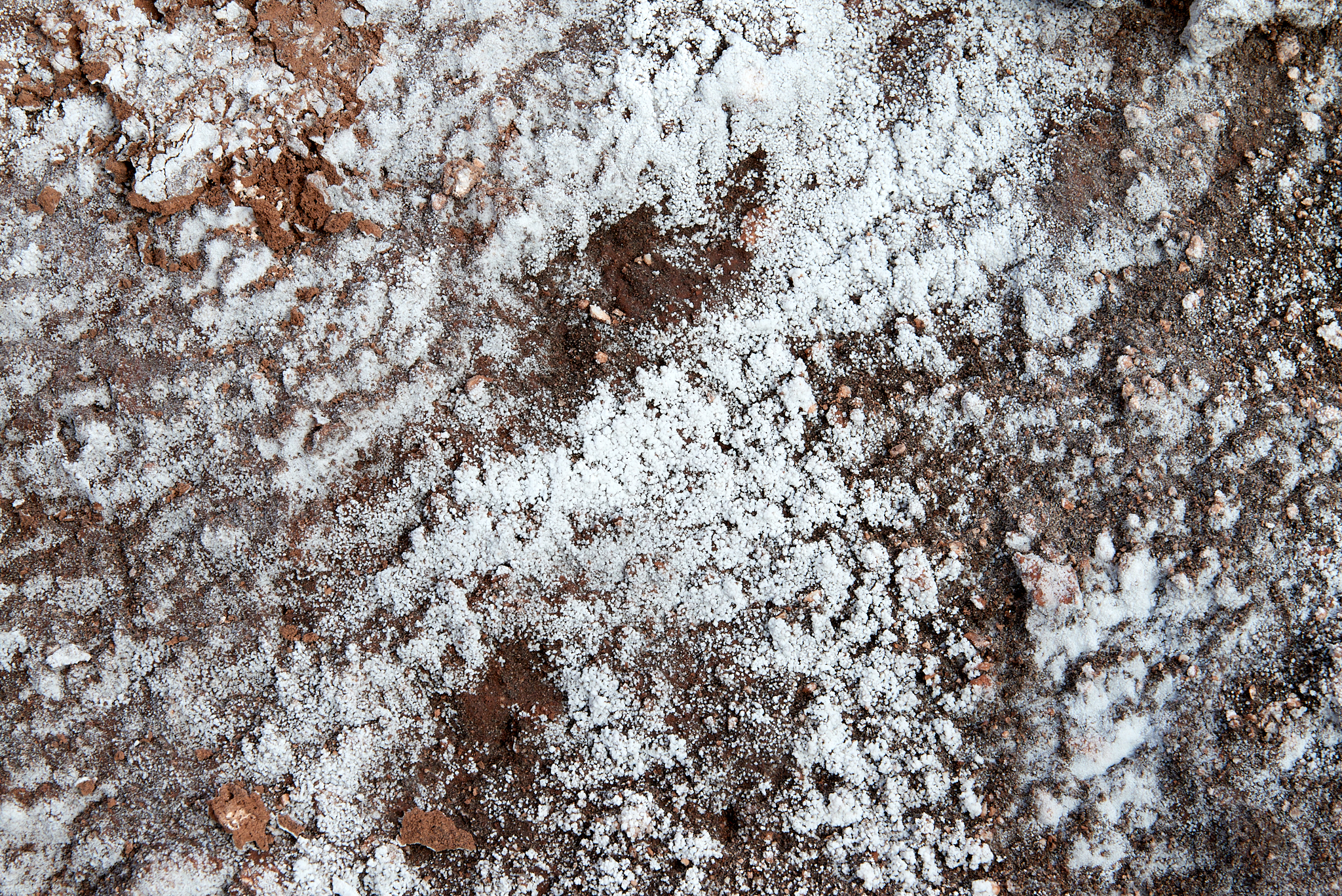 20200314 841 [칠레] 산 페드로 데 아타카마 달의 계곡